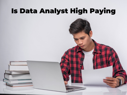 Read more about the article Is data analyst high paying