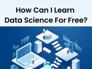 Read more about the article How Can I Learn Data Science For Free?