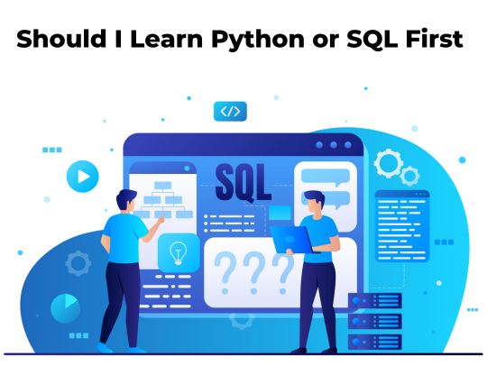 You are currently viewing Should I Learn Python or SQL First